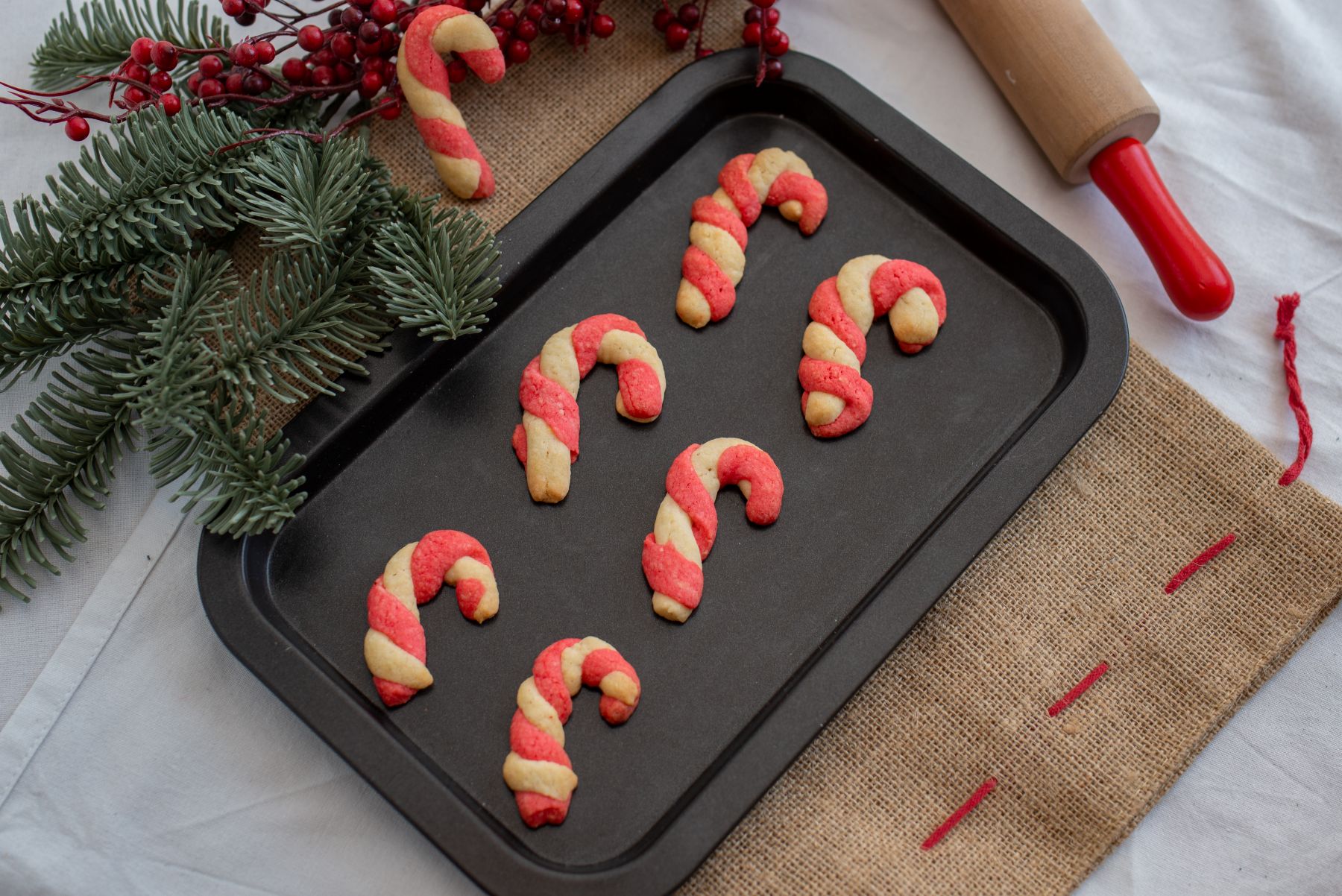 Summer Camp: Christmas in July